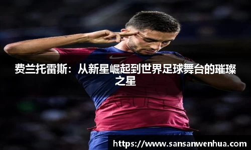 费兰托雷斯：从新星崛起到世界足球舞台的璀璨之星